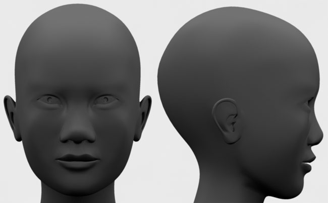 face reference front and side